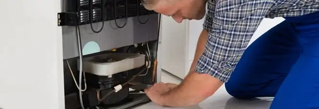 Refrigerator repair technician servicing the compressor and condenser area in Tampa, FL